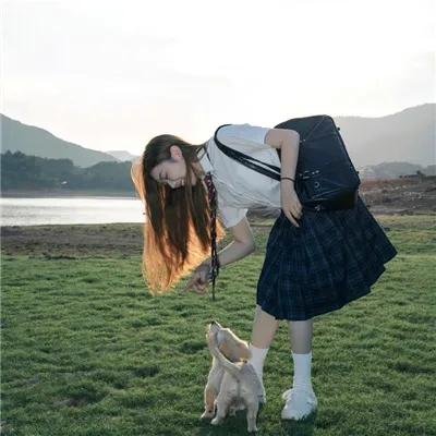 东江密令之断尾