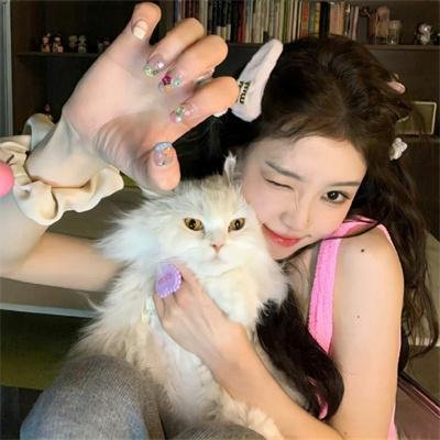 精灵宝可梦：洛奇亚爆诞