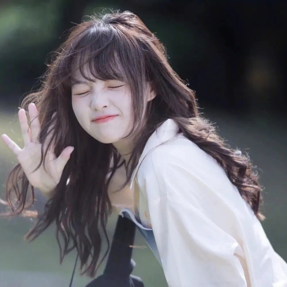 最强大脑第十一季